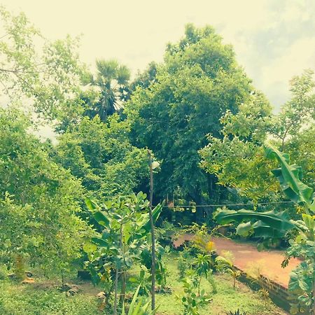 Oleena Home Stay Habarana Extérieur photo