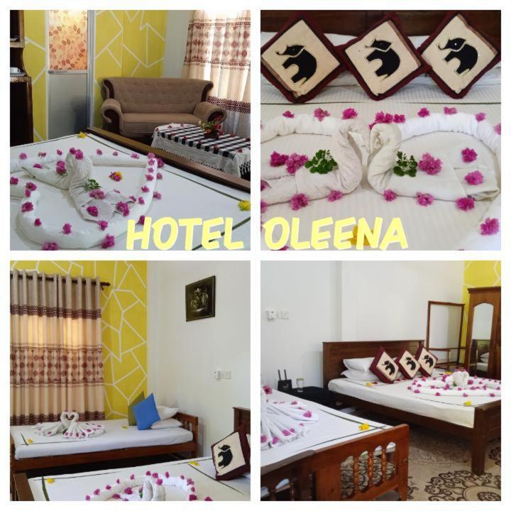 Oleena Home Stay Habarana Extérieur photo