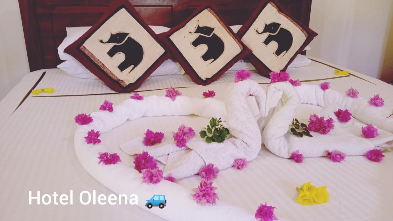 Oleena Home Stay Habarana Extérieur photo