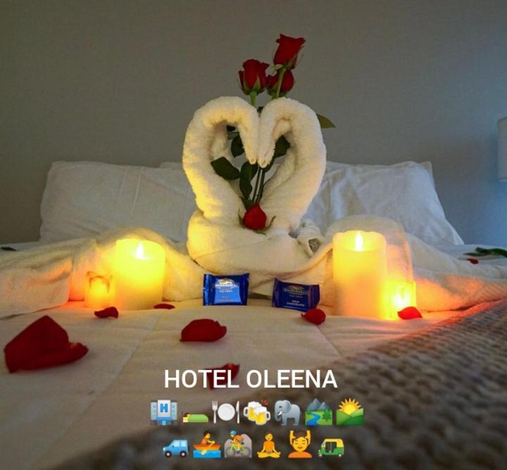 Oleena Home Stay Habarana Extérieur photo