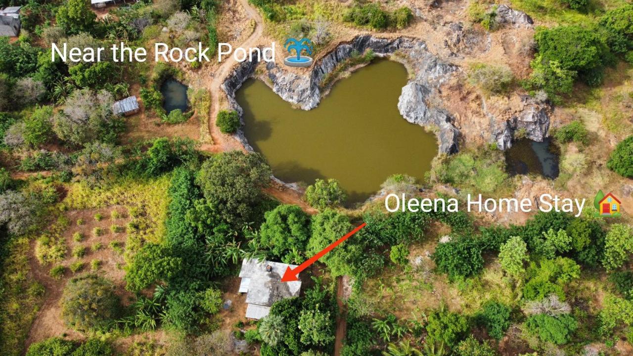 Oleena Home Stay Habarana Extérieur photo