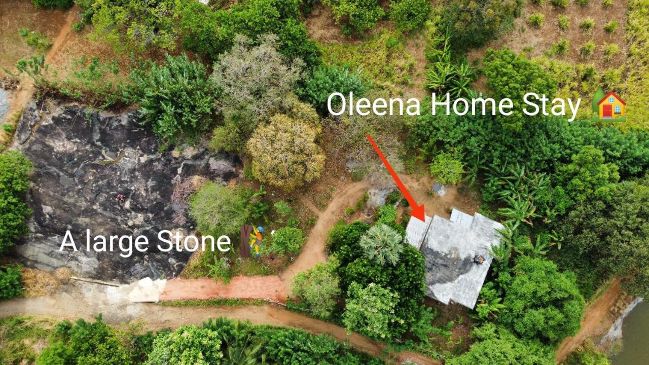 Oleena Home Stay Habarana Extérieur photo