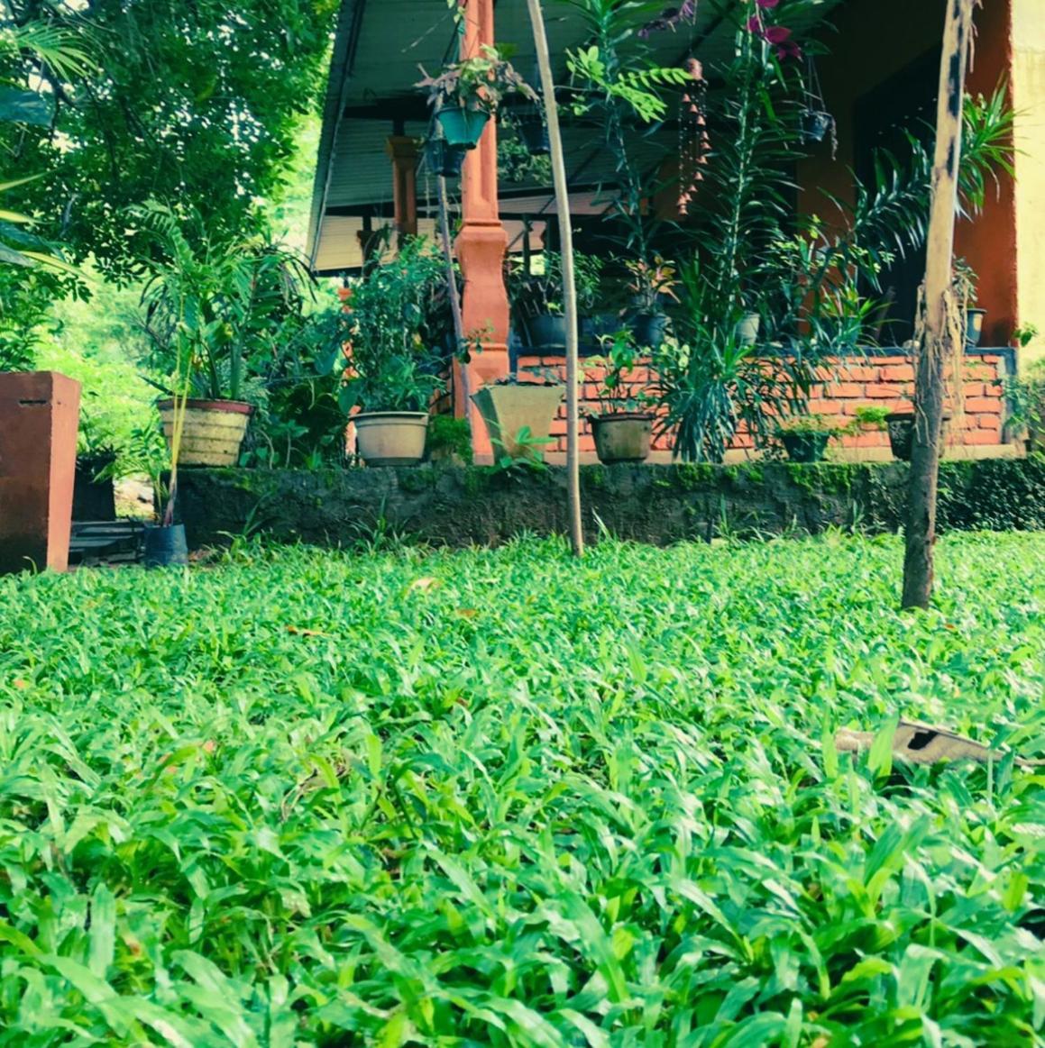 Oleena Home Stay Habarana Extérieur photo