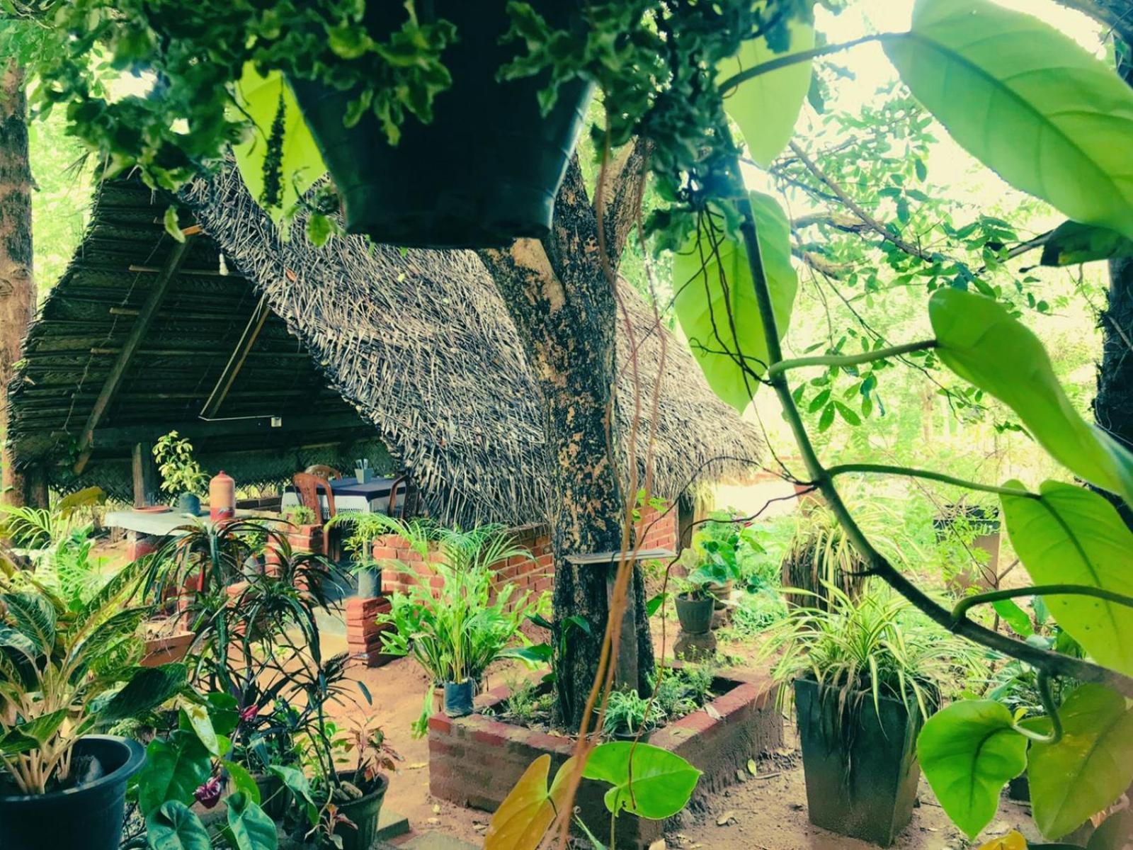 Oleena Home Stay Habarana Extérieur photo