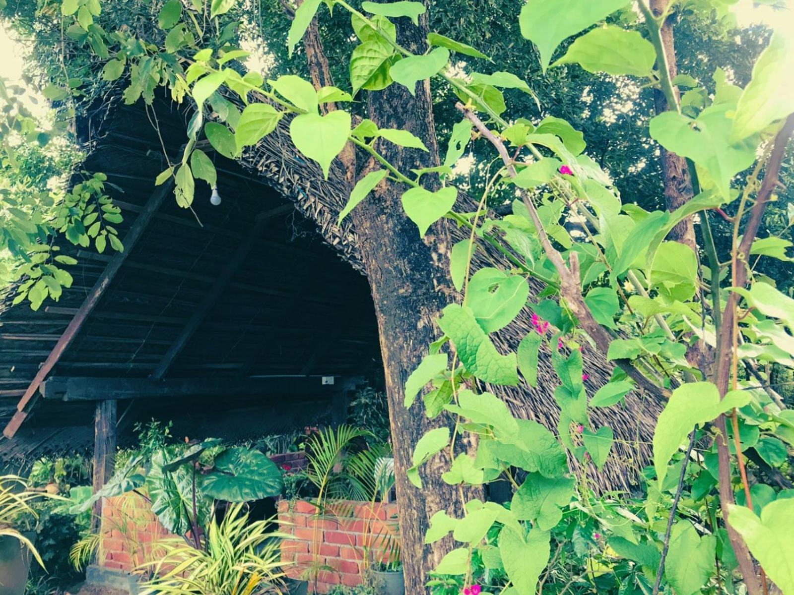 Oleena Home Stay Habarana Extérieur photo
